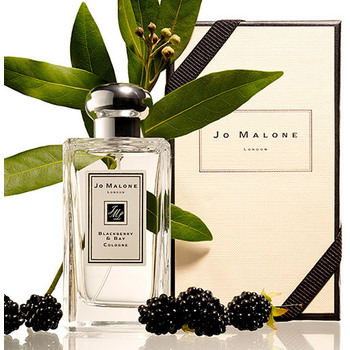 Blackberry & Bay EDC